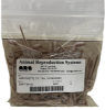 Disposable Tan Pipette Tips (100/bag) 