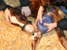 E-Z Breather Foal Resuscitator - EB-101