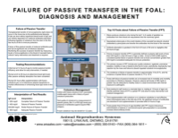 Foal IgG Poster 