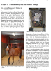 "Techniques in Equine Reproduction" Book 7th Ed. - 537-342G