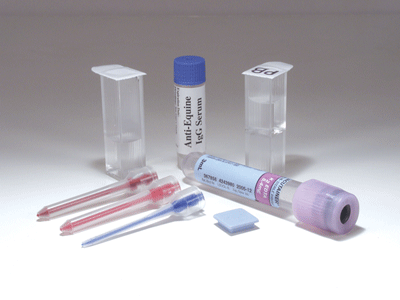 Foal IgG Test Supply Kit 
